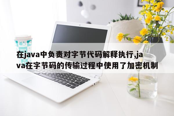 在java中负责对字节代码解释执行,java在字节码的传输过程中使用了加密机制