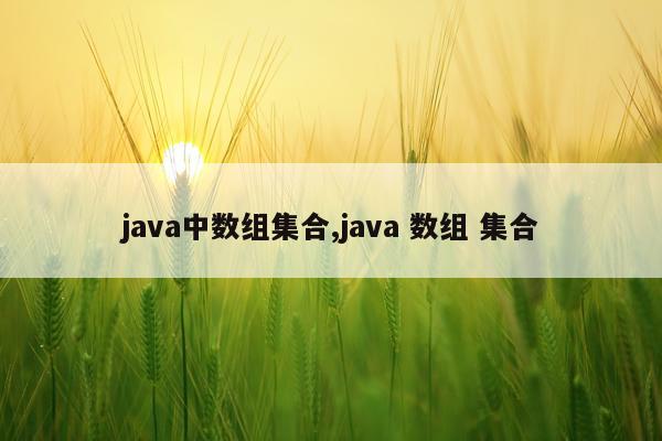 java中数组集合,java 数组 集合