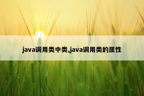 java调用类中类,java调用类的属性