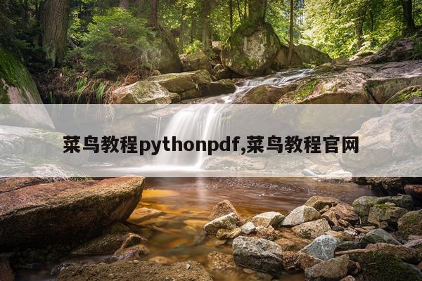 菜鸟教程pythonpdf,菜鸟教程官网