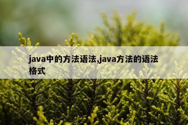 java中的方法语法,java方法的语法格式