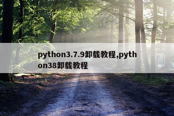 python3.7.9卸载教程,python38卸载教程