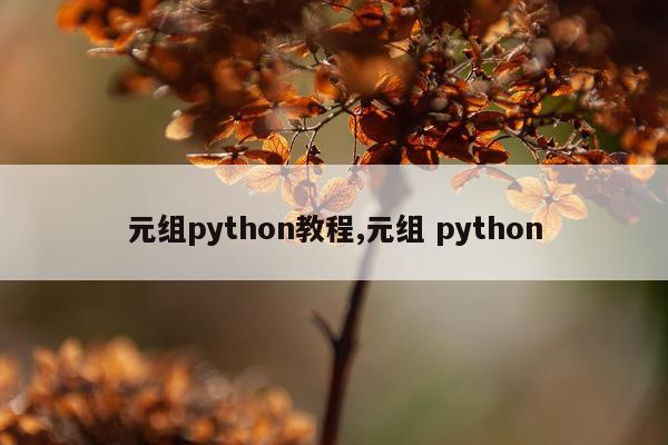 元组python教程,元组 python