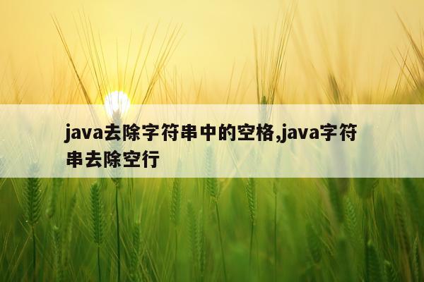 java去除字符串中的空格,java字符串去除空行