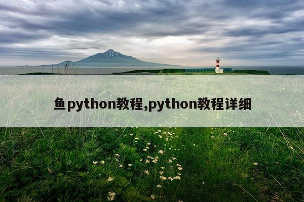鱼python教程,python教程详细