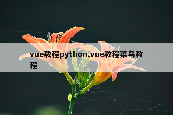 vue教程python,vue教程菜鸟教程