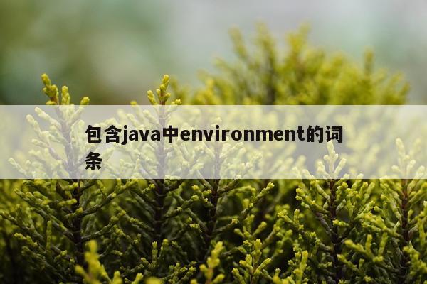 包含java中environment的词条