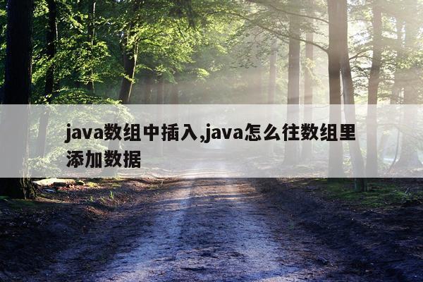 java数组中插入,java怎么往数组里添加数据