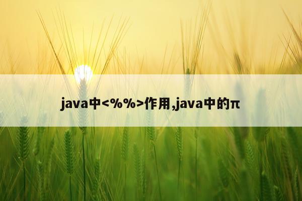 java中作用,java中的π