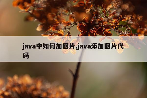 java中如何加图片,java添加图片代码