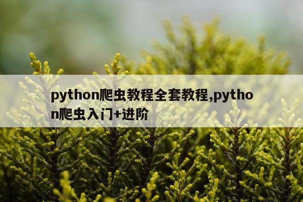 python爬虫教程全套教程,python爬虫入门+进阶