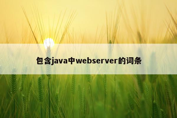 包含java中webserver的词条