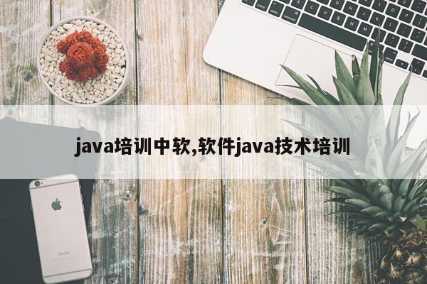 java培训中软,软件java技术培训