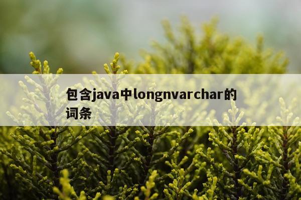 包含java中longnvarchar的词条