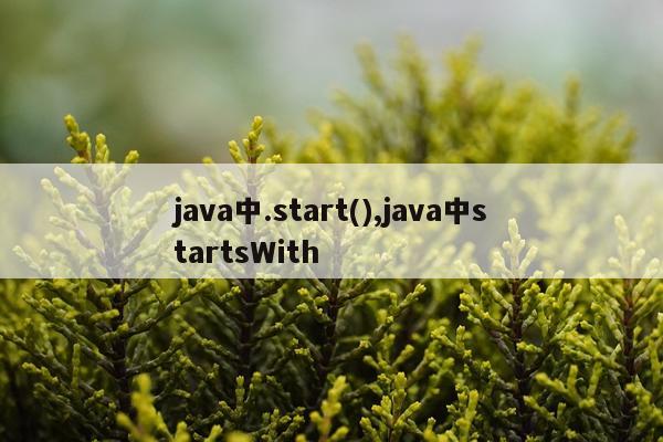 java中.start(),java中startsWith