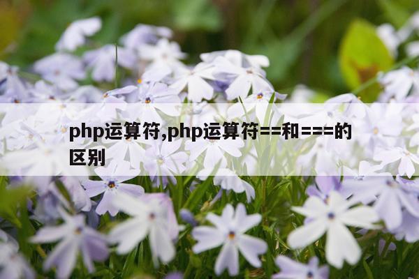 php运算符,php运算符==和===的区别