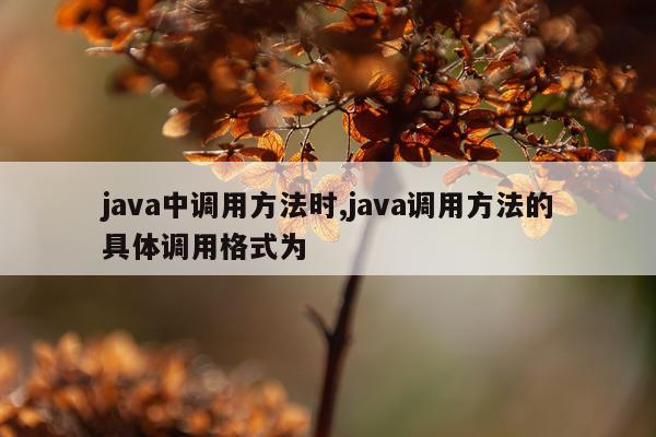 java中调用方法时,java调用方法的具体调用格式为