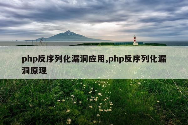 php反序列化漏洞应用,php反序列化漏洞原理