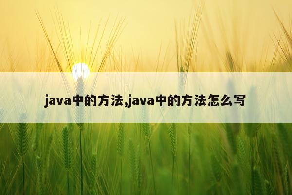 java中的方法,java中的方法怎么写