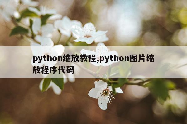 python缩放教程,python图片缩放程序代码