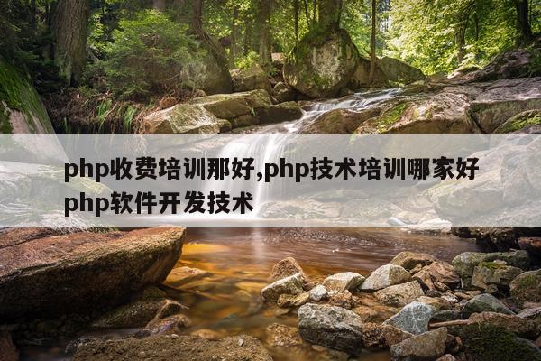 php收费培训那好,php技术培训哪家好php软件开发技术