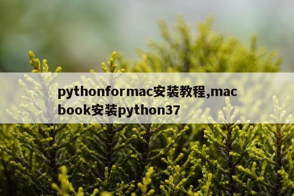 pythonformac安装教程,macbook安装python37
