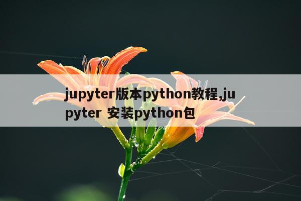 jupyter版本python教程,jupyter 安装python包
