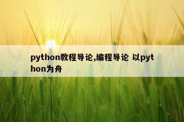 python教程导论,编程导论 以python为舟