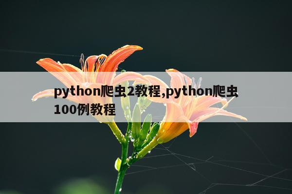 python爬虫2教程,python爬虫100例教程