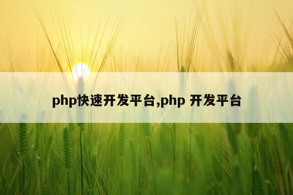 php快速开发平台,php 开发平台