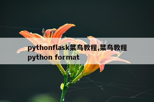pythonflask菜鸟教程,菜鸟教程python format