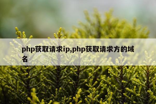 php获取请求ip,php获取请求方的域名