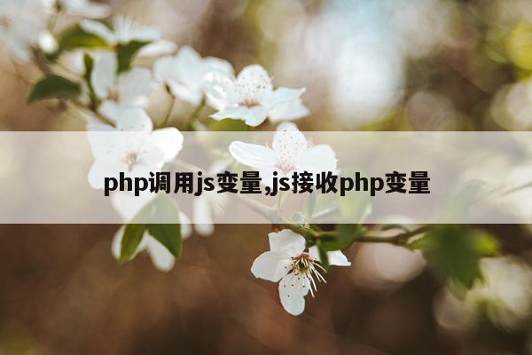 php调用js变量,js接收php变量