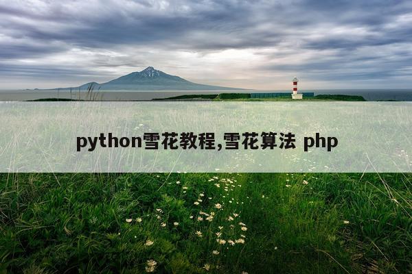 python雪花教程,雪花算法 php