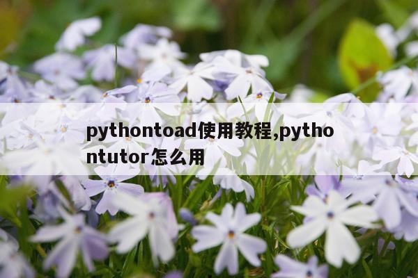 pythontoad使用教程,pythontutor怎么用