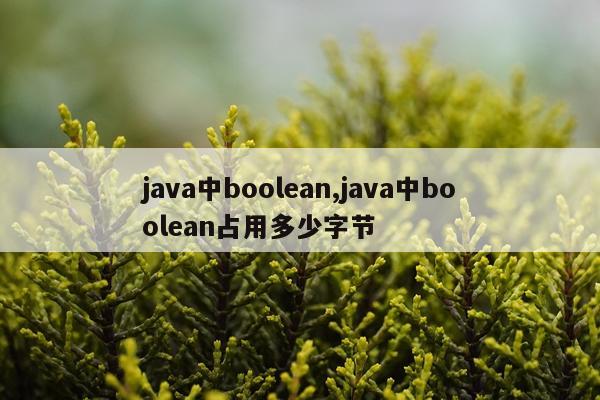 java中boolean,java中boolean占用多少字节