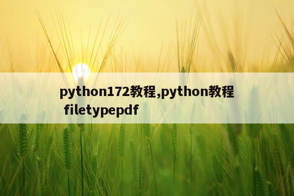 python172教程,python教程 filetypepdf