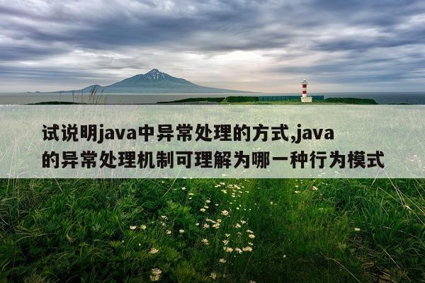 试说明java中异常处理的方式,java的异常处理机制可理解为哪一种行为模式