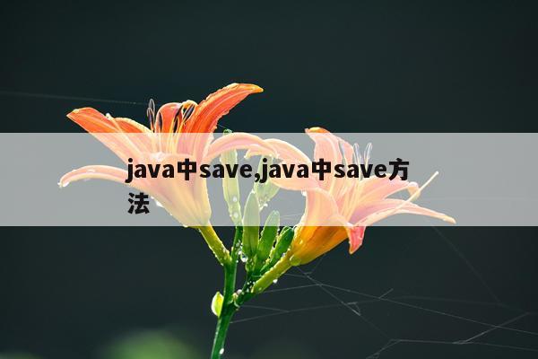 java中save,java中save方法