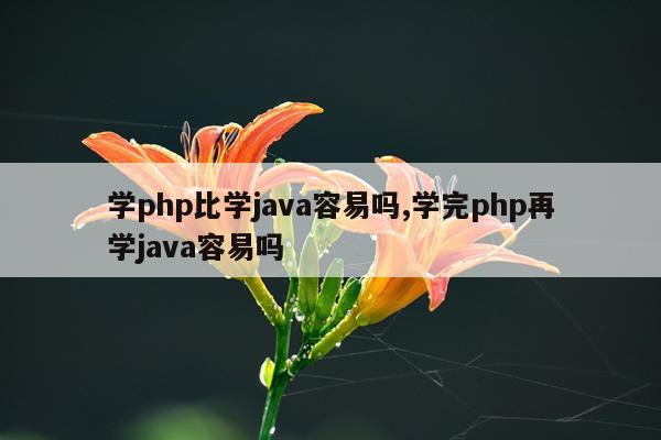 学php比学java容易吗,学完php再学java容易吗