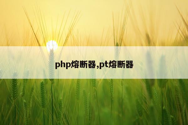 php熔断器,pt熔断器