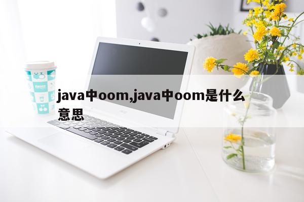 java中oom,java中oom是什么意思