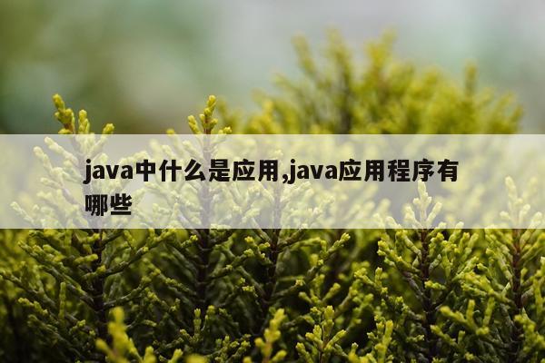java中什么是应用,java应用程序有哪些