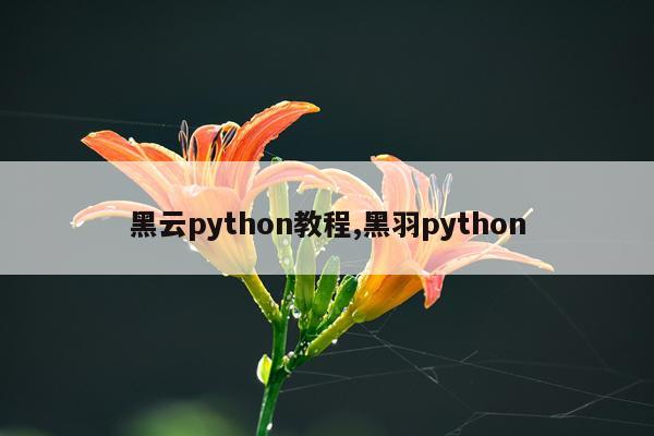 黑云python教程,黑羽python