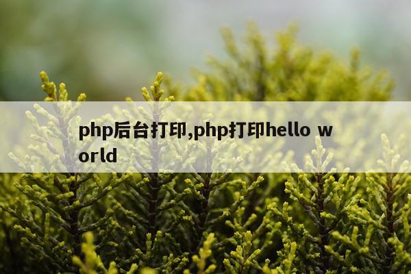 php后台打印,php打印hello world