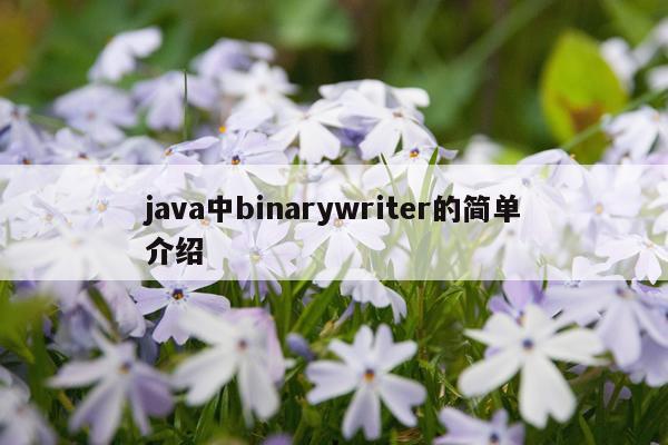 java中binarywriter的简单介绍