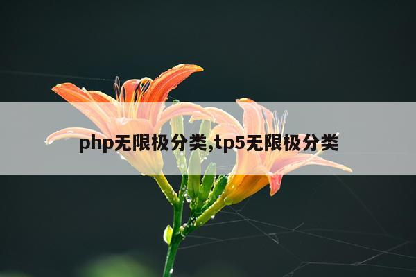 php无限极分类,tp5无限极分类