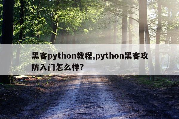 黑客python教程,python黑客攻防入门怎么样?