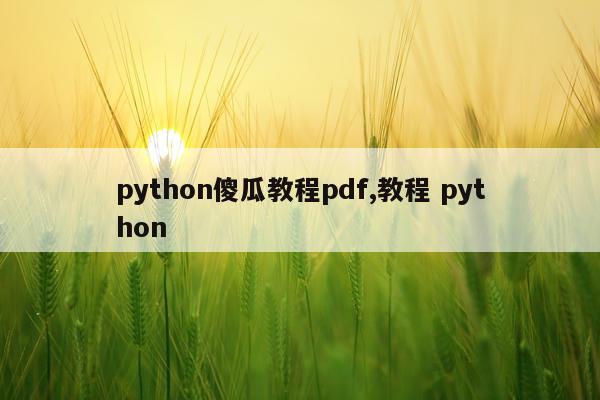 python傻瓜教程pdf,教程 python