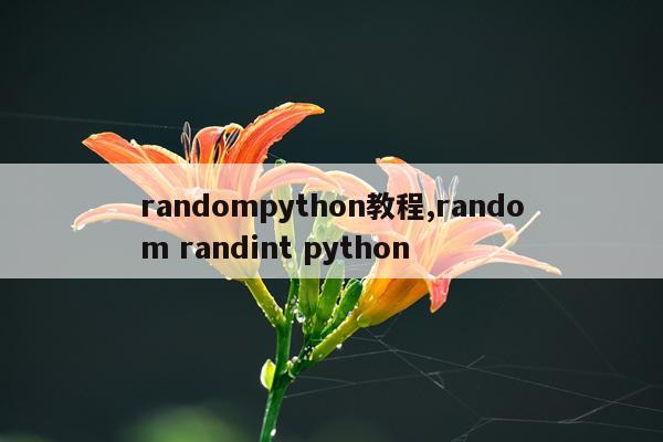 randompython教程,random randint python